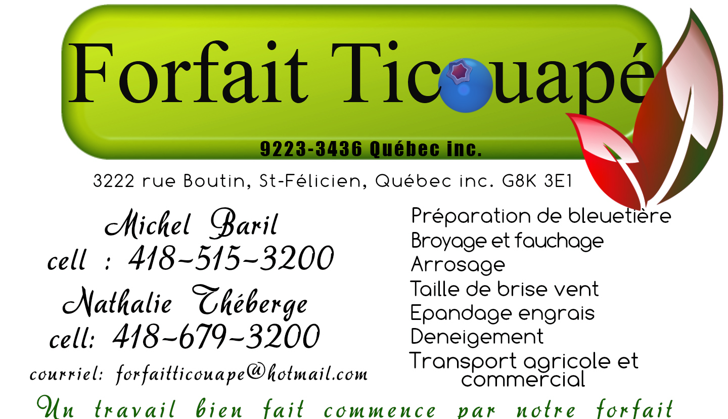 carte-affaire-forfait